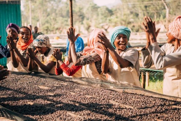 Ethiopia - Hirut Yirgacheffe