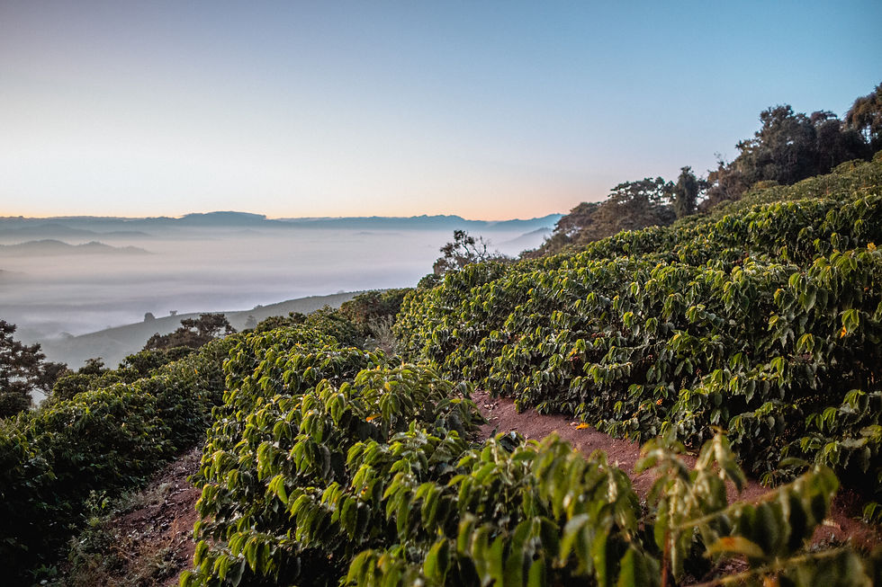 Brazil - Mogiana