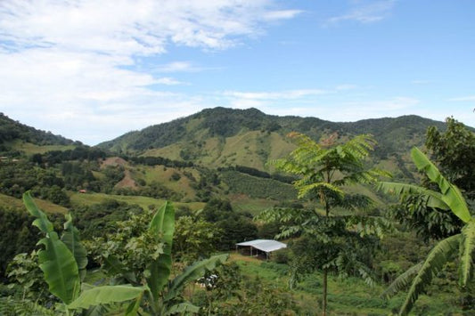 Costa Rica - El Cedral